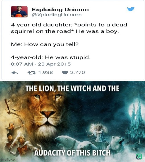 Bruh | image tagged in the lion the witch and the audacity of this bitch,twitter,sexist,sexism,boys vs girls | made w/ Imgflip meme maker