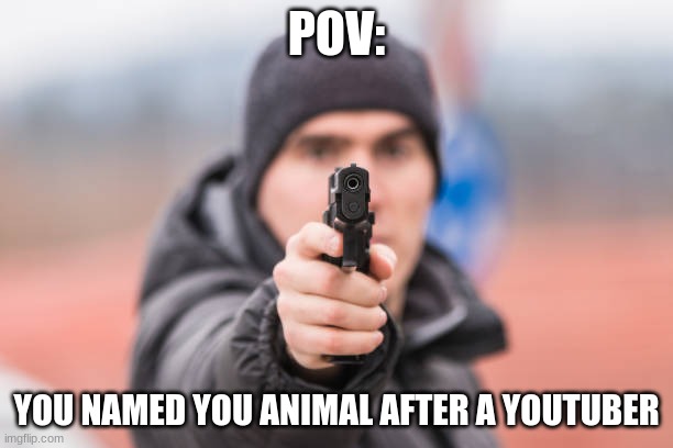Pov | POV:; YOU NAMED YOU ANIMAL AFTER A YOUTUBER | image tagged in pov you are | made w/ Imgflip meme maker