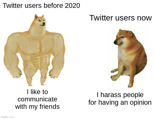 :| | Twitter users before 2020; Twitter users now; I like to communicate with my friends; I harass people for having an opinion | image tagged in memes,buff doge vs cheems,twitter | made w/ Imgflip meme maker
