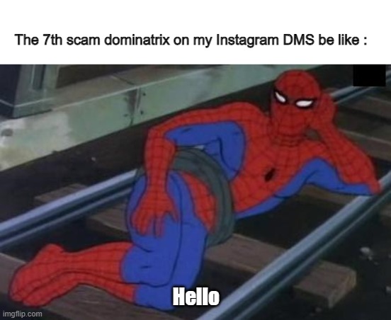 Rly how do these people keep finding me |  The 7th scam dominatrix on my Instagram DMS be like :; Hello | image tagged in memes,sexy railroad spiderman,spiderman | made w/ Imgflip meme maker