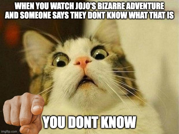 Scared Cat Meme | WHEN YOU WATCH JOJO'S BIZARRE ADVENTURE AND SOMEONE SAYS THEY DONT KNOW WHAT THAT IS; YOU DONT KNOW | image tagged in memes,scared cat | made w/ Imgflip meme maker