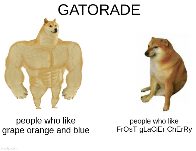 gatorade | GATORADE; people who like grape orange and blue; people who like FrOsT gLaCiEr ChErRy | image tagged in memes,buff doge vs cheems | made w/ Imgflip meme maker
