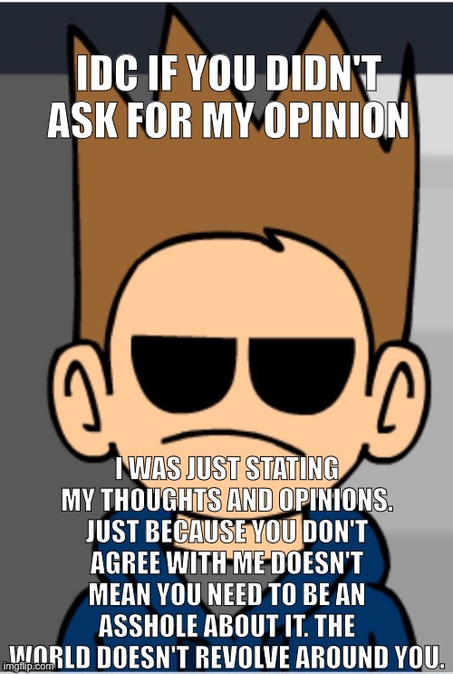 Idc if you didn't ask for my opinion | image tagged in idc if you didn't ask for my opinion | made w/ Imgflip meme maker