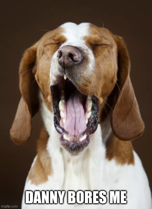 You Bore Me - Yawning Pooch | DANNY BORES ME | image tagged in you bore me - yawning pooch | made w/ Imgflip meme maker