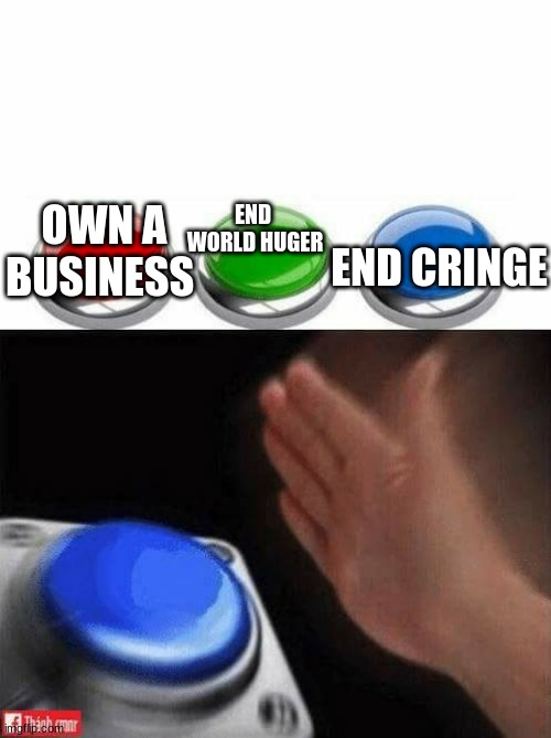 So true |  OWN A BUSINESS; END  WORLD HUGER; END CRINGE | image tagged in three buttons | made w/ Imgflip meme maker