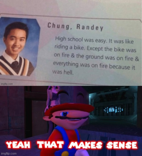 sounds about right | image tagged in mario that make sense,highschool,quotes | made w/ Imgflip meme maker