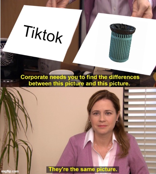 They're The Same Picture | Tiktok | image tagged in memes,they're the same picture | made w/ Imgflip meme maker