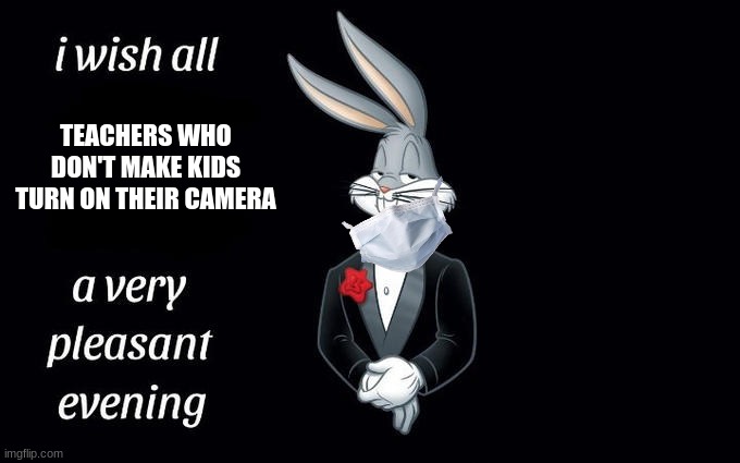 I wish all the X a very pleasant evening | TEACHERS WHO DON'T MAKE KIDS TURN ON THEIR CAMERA | image tagged in i wish all the x a very pleasant evening | made w/ Imgflip meme maker