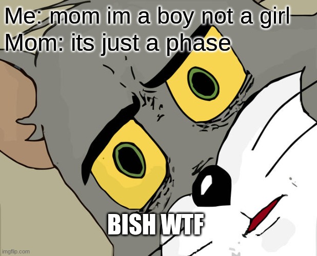 Unsettled Tom Meme | Me: mom im a boy not a girl; Mom: its just a phase; BISH WTF | image tagged in memes,unsettled tom | made w/ Imgflip meme maker