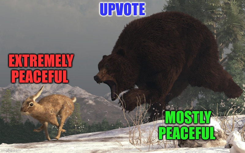EXTREMELY PEACEFUL MOSTLY PEACEFUL UPVOTE | made w/ Imgflip meme maker