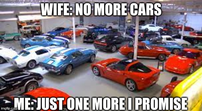 car collection | WIFE: NO MORE CARS; ME: JUST ONE MORE I PROMISE | image tagged in car collection | made w/ Imgflip meme maker