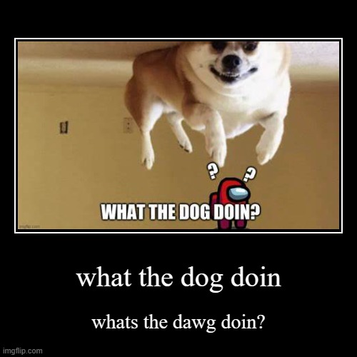 What The Dog Doin Imgflip