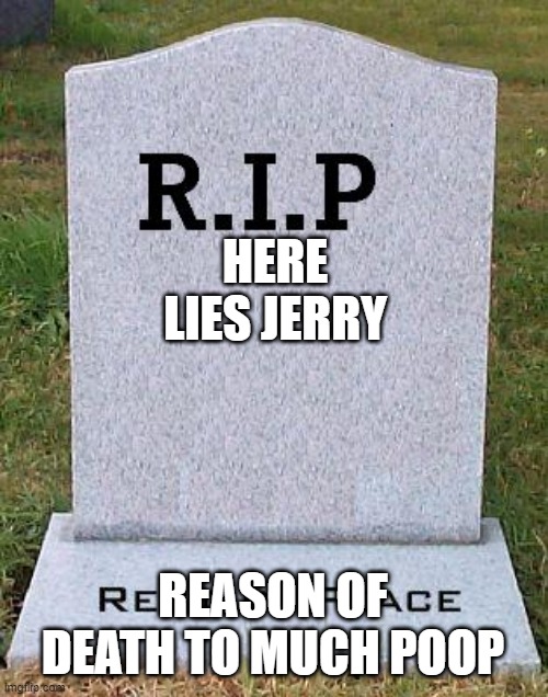 RIP headstone | HERE LIES JERRY; REASON OF DEATH TO MUCH POOP | image tagged in rip headstone | made w/ Imgflip meme maker
