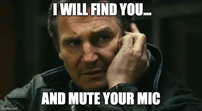 mute your mic | I WILL FIND YOU... AND MUTE YOUR MIC | image tagged in liam neeson taken | made w/ Imgflip meme maker