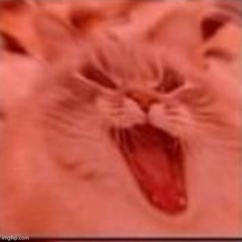 when the | image tagged in when the | made w/ Imgflip meme maker