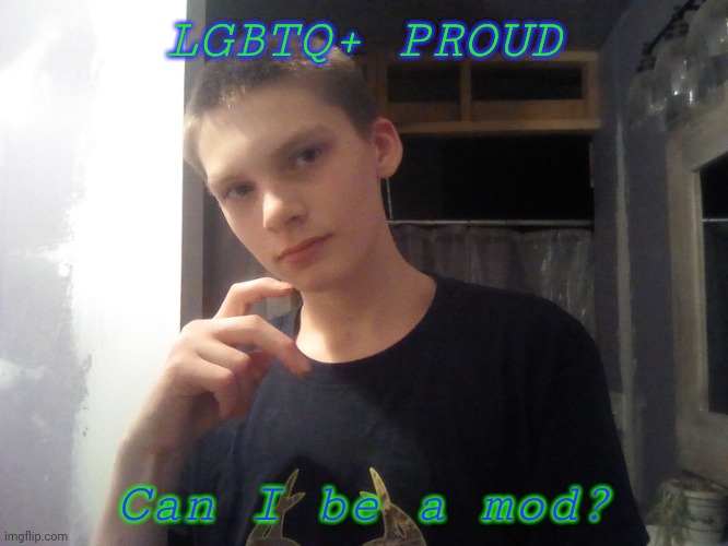 Plz | LGBTQ+ PROUD; Can I be a mod? | image tagged in jehjsjkzk | made w/ Imgflip meme maker