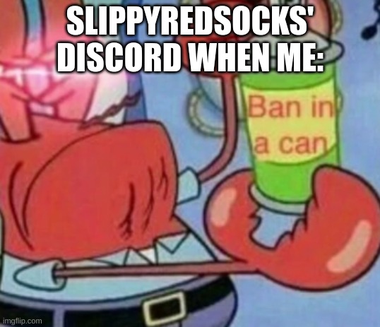 Ban in a can | SLIPPYREDSOCKS' DISCORD WHEN ME: | image tagged in ban in a can | made w/ Imgflip meme maker