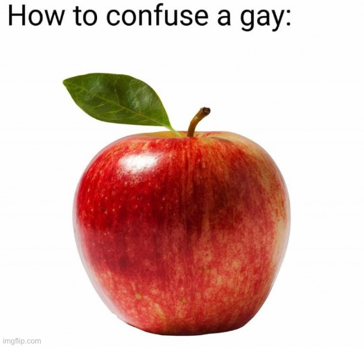 Actually, one more before I go back to online school | made w/ Imgflip meme maker