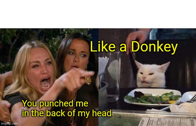 Donkey Punched | Like a Donkey; You punched me in the back of my head | image tagged in memes,woman yelling at cat | made w/ Imgflip meme maker