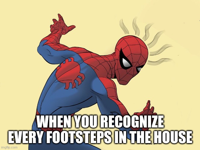 bruh | WHEN YOU RECOGNIZE EVERY FOOTSTEPS IN THE HOUSE | image tagged in spidey sense | made w/ Imgflip meme maker