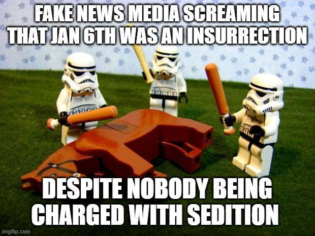 Beating a dead horse | FAKE NEWS MEDIA SCREAMING THAT JAN 6TH WAS AN INSURRECTION; DESPITE NOBODY BEING CHARGED WITH SEDITION | image tagged in beating a dead horse | made w/ Imgflip meme maker