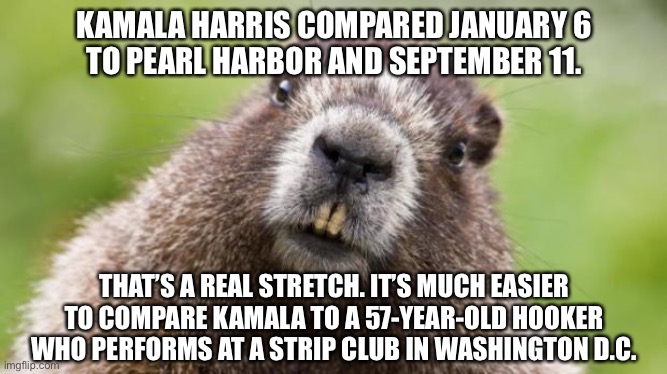 Kamala is a D.C. street walker | KAMALA HARRIS COMPARED JANUARY 6
TO PEARL HARBOR AND SEPTEMBER 11. THAT’S A REAL STRETCH. IT’S MUCH EASIER TO COMPARE KAMALA TO A 57-YEAR-OLD HOOKER WHO PERFORMS AT A STRIP CLUB IN WASHINGTON D.C. | image tagged in mr beaver,memes,kamala harris,hooker,january 6,washington dc | made w/ Imgflip meme maker