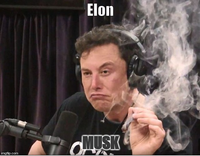 Elon Musk smoking a joint | Elon; MUSK | image tagged in elon musk smoking a joint | made w/ Imgflip meme maker