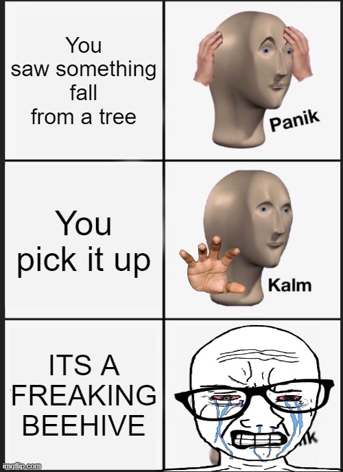 Panik Kalm Panik | You saw something fall from a tree; You pick it up; ITS A FREAKING BEEHIVE | image tagged in memes,panik kalm panik | made w/ Imgflip meme maker