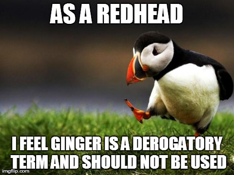 Unpopular Opinion Puffin Meme | AS A REDHEAD I FEEL GINGER IS A DEROGATORY TERM AND SHOULD NOT BE USED | image tagged in unpopular opinion puffin,AdviceAnimals | made w/ Imgflip meme maker