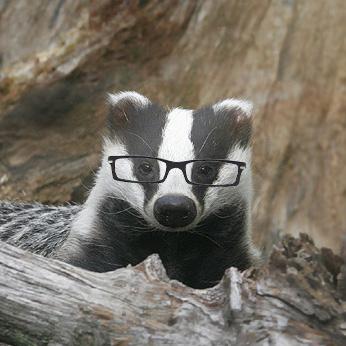 High Quality Nerdy Badger Square Blank Meme Template