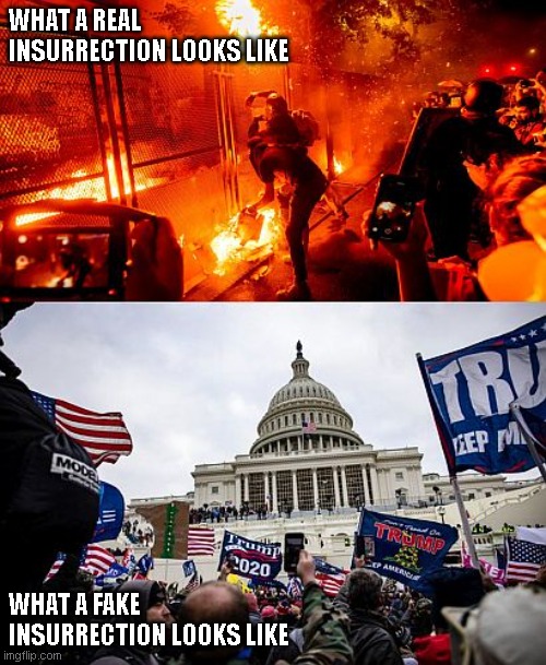 WHAT A REAL INSURRECTION LOOKS LIKE; WHAT A FAKE INSURRECTION LOOKS LIKE | made w/ Imgflip meme maker