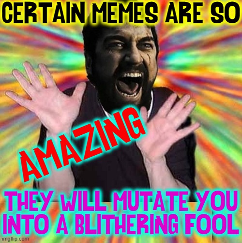 CERTAIN MEMES ARE SO THEY WILL MUTATE YOU
INTO A BLITHERING FOOL AMAZING | made w/ Imgflip meme maker
