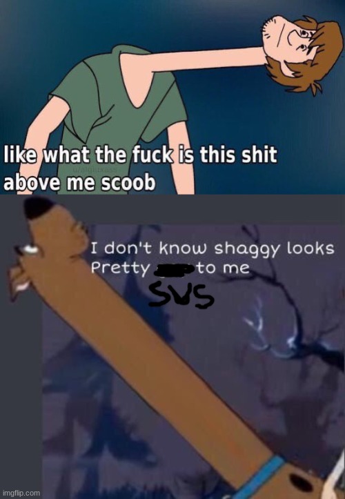 image tagged in shaggy long neck,i dont know shaggy looks pretty gay to me | made w/ Imgflip meme maker