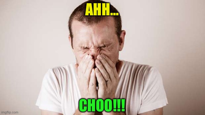Big Sneeze | AHH… CHOO!!! | image tagged in big sneeze | made w/ Imgflip meme maker