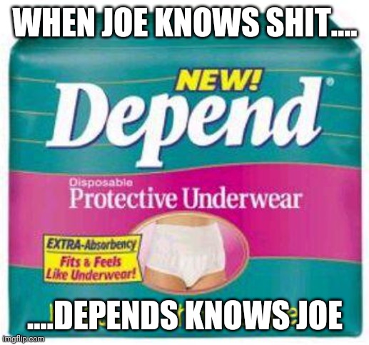 Depends  |  WHEN JOE KNOWS SHIT.... ....DEPENDS KNOWS JOE | image tagged in depends | made w/ Imgflip meme maker