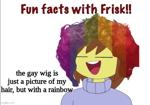 yes | the gay wig is just a picture of my hair, but with a rainbow | made w/ Imgflip meme maker