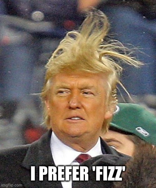 Donald Trumph hair | I PREFER 'FIZZ' | image tagged in donald trumph hair | made w/ Imgflip meme maker