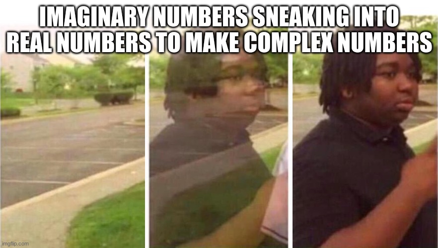 Visibility | IMAGINARY NUMBERS SNEAKING INTO REAL NUMBERS TO MAKE COMPLEX NUMBERS | image tagged in visibility | made w/ Imgflip meme maker