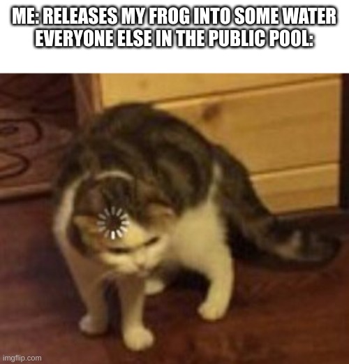 Loading cat | ME: RELEASES MY FROG INTO SOME WATER
EVERYONE ELSE IN THE PUBLIC POOL: | image tagged in loading cat | made w/ Imgflip meme maker