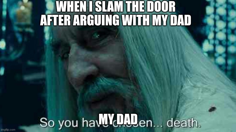 So you have chosen death | WHEN I SLAM THE DOOR AFTER ARGUING WITH MY DAD; MY DAD | image tagged in so you have chosen death | made w/ Imgflip meme maker