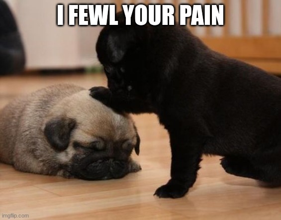 there there | I FEWL YOUR PAIN | image tagged in there there | made w/ Imgflip meme maker