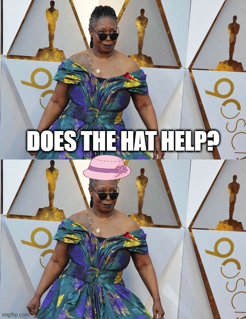 THE VIEW | DOES THE HAT HELP? | image tagged in whoopi goldberg | made w/ Imgflip meme maker