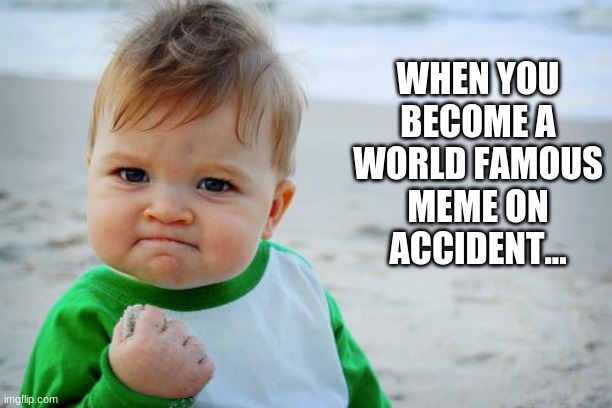 He was really about to eat sand... | WHEN YOU BECOME A WORLD FAMOUS MEME ON ACCIDENT... | image tagged in memes,success kid original | made w/ Imgflip meme maker
