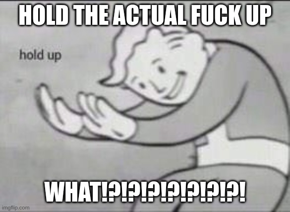 Fallout Hold Up | HOLD THE ACTUAL FUCK UP WHAT!?!?!?!?!?!?!?! | image tagged in fallout hold up | made w/ Imgflip meme maker