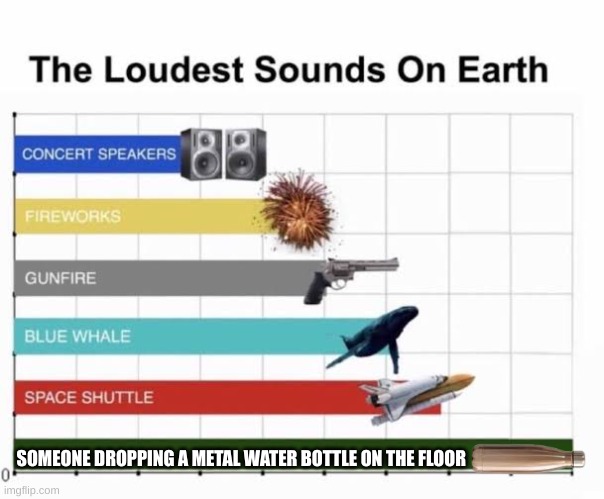 The Loudest Sounds on Earth | SOMEONE DROPPING A METAL WATER BOTTLE ON THE FLOOR | image tagged in the loudest sounds on earth | made w/ Imgflip meme maker