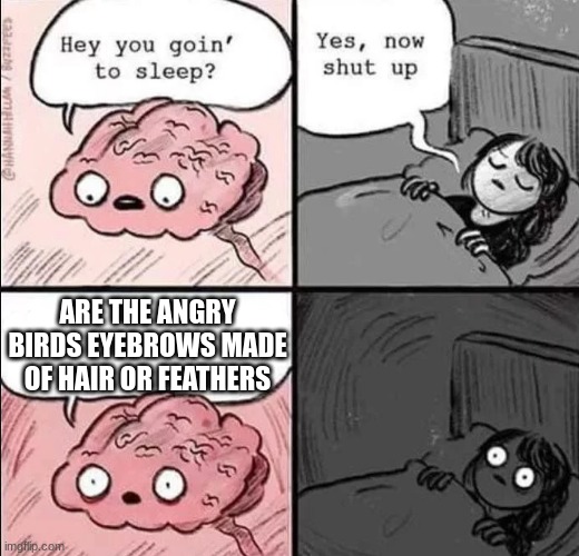 waking up brain | ARE THE ANGRY BIRDS EYEBROWS MADE OF HAIR OR FEATHERS | image tagged in waking up brain | made w/ Imgflip meme maker