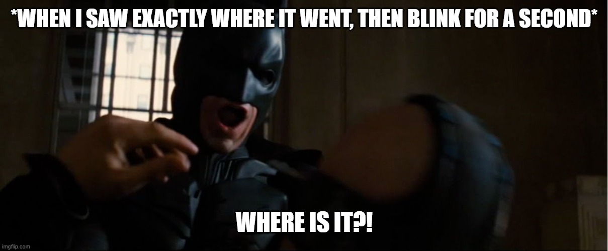 Where is it | *WHEN I SAW EXACTLY WHERE IT WENT, THEN BLINK FOR A SECOND* WHERE IS IT?! | image tagged in where is it | made w/ Imgflip meme maker