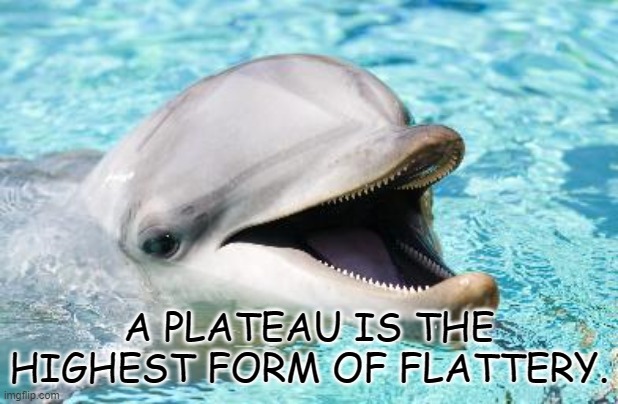 Daily Bad Dad Joke January 6 2022 | A PLATEAU IS THE HIGHEST FORM OF FLATTERY. | image tagged in dumb joke dolphin | made w/ Imgflip meme maker