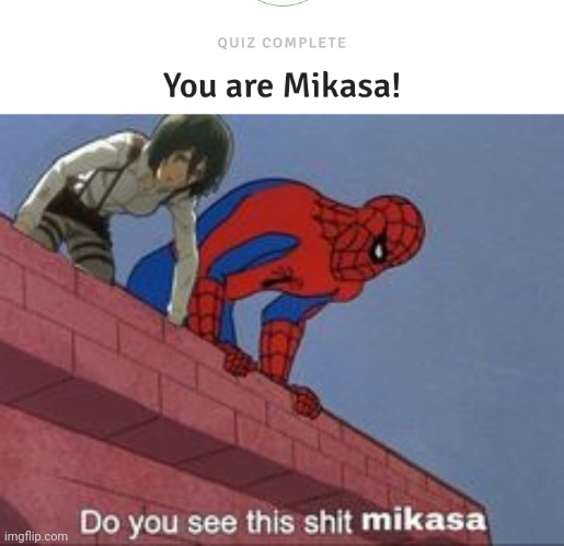 image tagged in do you see this shit mikasa | made w/ Imgflip meme maker