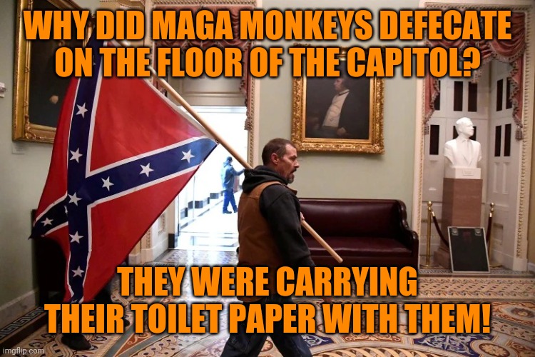 Jan. 6 2021 Confederate flag | WHY DID MAGA MONKEYS DEFECATE ON THE FLOOR OF THE CAPITOL? THEY WERE CARRYING THEIR TOILET PAPER WITH THEM! | image tagged in jan 6 2021 confederate flag,maga,poo flinging monkeys,mountain of toilet paper | made w/ Imgflip meme maker